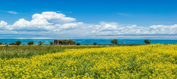 青海關于促進互聯網平臺經濟規范健康發展的若干措施（原文）